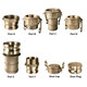 Kuriyama 5 in. Brass Quick Couplings