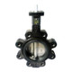 Apollo LD141 Series 8 in. 150# Flange Ductile Iron Butterfly Valve, Lug Style