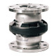 Dixon MSBC200SSFL Mann Tek 2 in. 150# Flange 316 Stainless Steel Safety Break-Away Coupling, Marine Version