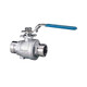 Shurjoint SJ-600L Series Grooved Ball Valve w/ Lever Handle, 316 Stainless Steel