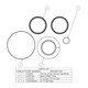 Banjo VSS25200 2 in. Stainless Steel Two-Piece Ball Valve Seal Repair Kit