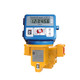 Liquid Controls M15A1 3 in. Flanged 200 GPM Meter and Electronic Register