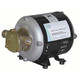 Jabsco 18685-0000 115V AC Diesel Transfer Pump Only- 7.9 GPM