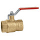 RIV Export 1/2 in. NPT Brass Ball Valve - Full Port 600 PSI