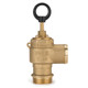RIV Opale 1 1/2 in. Brass Pressure Relief Valve 21 PSI