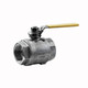 TranStore 2 in. NPT Stainless Steel Ball Valve - Full Port