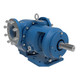 GlobalGear 3 in. ANSI 125# Cast Iron Process Gear Pump W/ Mechanical Seal, 210 GPM, 800 RPM