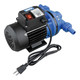 GPI DEF Specialty Utility Transfer Pump 115V AC