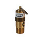 Dixon KSV10-100 1/4 in. Brass Soft Seat Safety Pop-Off Valve 100 PSI