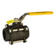 Chicago Valves 3346R4SW020 2 in. Carbon Steel Ball Valve - Socketweld, 1000 PSI
