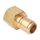 Holmbury HFB10-M-06N 3/8 in. Brass Coupling 3/8 NPTF W/ Nitrile Rubber Seal - Male
