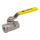 Apollo Valves 76-105-01A 1 in. FNPT 2-Pc Ball Valve, Stainless Steel - 2000 PSI