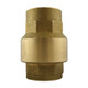 Titan Flow Control CV20BR0100 1 in. Threaded Brass Check Valve w/ Nitrile Rubber Seat