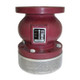 Titan Flow Control FV50DI0600 6 in. Foot Valve Assembly, Ductile Iron
