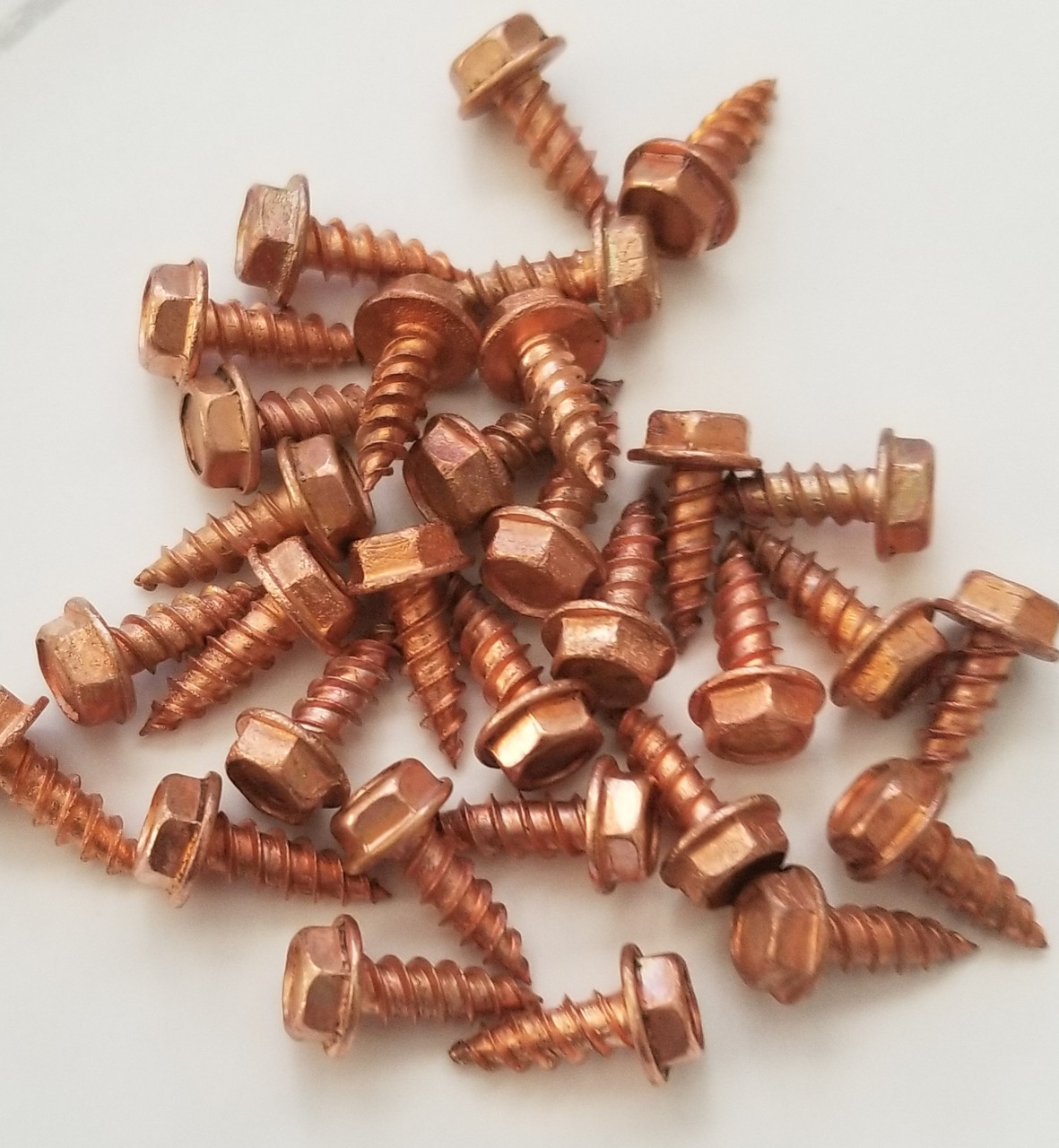 Solid, Copper, Zip, Screw, 8x1/2