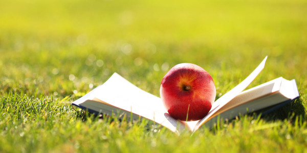 Avoid the Summer Slide with Summer School Prep