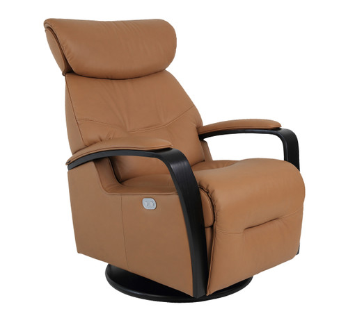 Th Rio Swing Relaxer can be purchased in various leather or fabric types and colors.  Th Rio Swing Relaxer can be purchased in various leather or fabric types and colors.