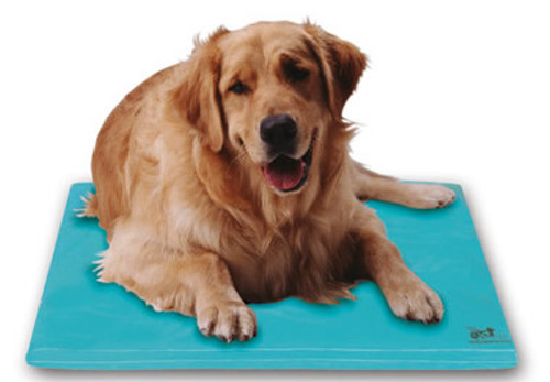 The Canine Cooler small will keep your family pet cool and comfortable. The Canine Cooler small will keep your family pet cool and comfortable.