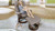 Get ready for a relaxing experience everyday with the Elbe. Get ready for a relaxing experience everyday with the Elbe.