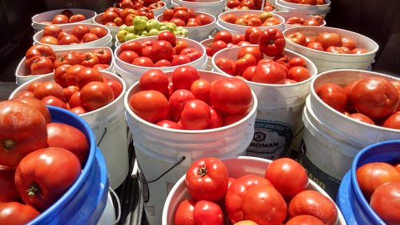 2018 STRESSLESS CHARITY PROMOTION- FOOD FOR FAMILIES AND SAVINGS FOR YOU!