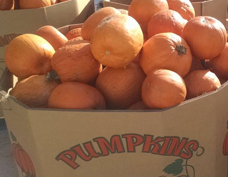 The Unwind Company Helps Feed Those in Need...