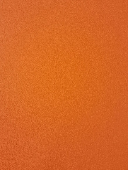 apricot-orange-paloma-swatch.jpg