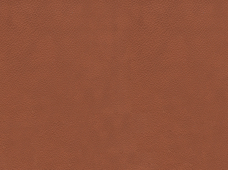 Brandy Paloma Leather 09446