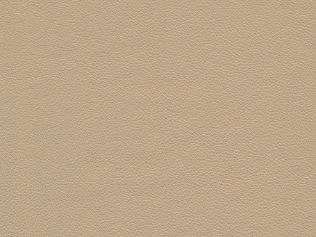 Camel Paloma Leather 09487