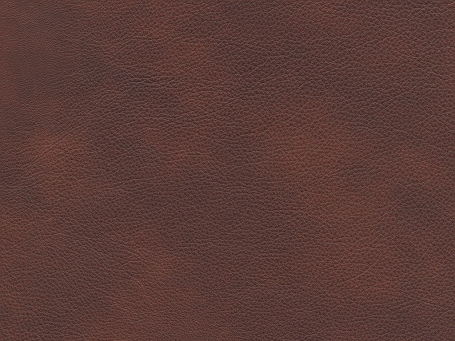 Cognac Paloma Leather 09441