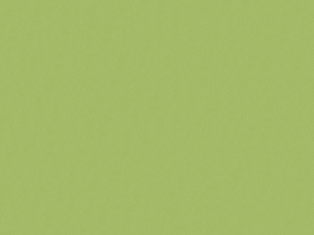 Green Paloma Leather 09490