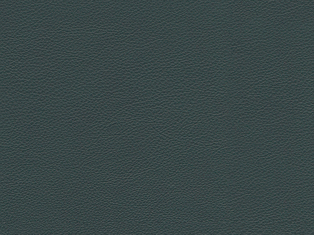 Paloma Leather- New Forest 09429