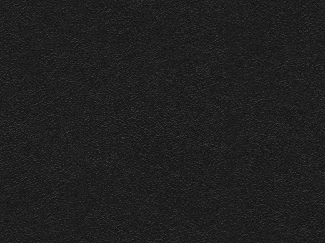 Rock Paloma Leather 09480