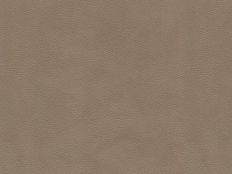 Stone Paloma Leather 09406