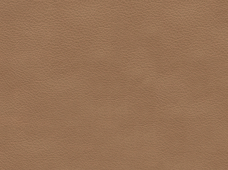 Taupe Paloma Leather 09484