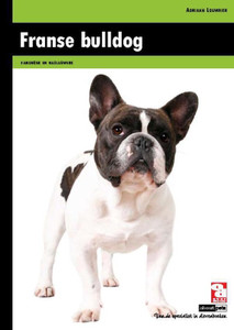 Franse bulldog
