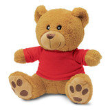 Teddy Bear Plush Toy