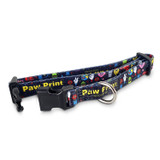 Amigo Dog Collar