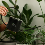 Keepsake Watering Can