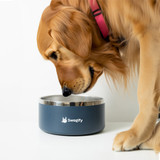 <p>The stainless steel Tucker Dog Bowl is a practical choice for pet owners, keeping water cool and making mealtime hassle-free. Designed for small to medium dogs, its 800ml capacity is just right, while the navy blue exterior adds a stylish touch. A non-slip band on the bottom helps prevent spills, keeping floors dry and clean.</p>
<p class="keyword">
