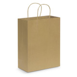 Paper Carry Bag - Large