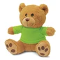 Teddy Bear Plush Toy