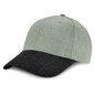Raptor Cap