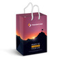 Small Laminated Paper Carry Bag - Full Colour