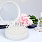 Compact Brush with Mirror