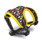 Pet Harness
