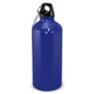 Intrepid Bottle - 600ml