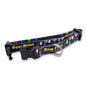 Amigo Dog Collar