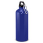 Intrepid Bottle - 800ml