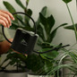 Keepsake Watering Can