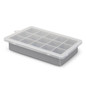 Grey/Transparent